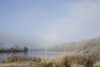 Frost On The Tall Grass Along The Shore Of A Lake; Thunder Bay, Ontario, Canada PosterPrint - Item # VARDPI1876991
