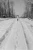 Woman walking on snow covered road Poster Print - Item # VARSAL255423445
