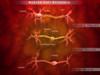 Anatomy structure of neurons Poster Print - Item # VARPSTSTK700415H