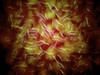 Microscopic view of sperm Poster Print - Item # VARPSTSTK700370H