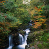 Torc Waterfall, Ireland,Co Kerry PosterPrint - Item # VARDPI1810809