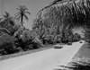 USA  Florida  Miami  Crandon Blvd on Key Biscayne Poster Print - Item # VARSAL255420405