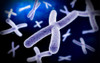 Microscopic view of chromosome Poster Print - Item # VARPSTSTK700049H