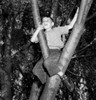 Boy sitting in tree Poster Print - Item # VARSAL255416883