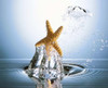 Starfish rising on water bubble toward bright light Poster Print by Panoramic Images (24 x 20) - Item # PPI117985
