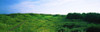http://c328301.r1.cf1.rackcdn.com/PPI151893L.jpg