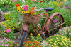 Old bicycle with flower basket in a garden with zinnias, Marion County, Illinois, USA Poster Print - Item # VARPPI169168