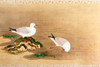 USA  Washington  D.C.  Smithsonian Institution  Ducks  Japanese Art  handscroll  Poster Print - Item # VARSAL260580