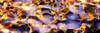 http://c328301.r1.cf1.rackcdn.com/PPI103962L.jpg