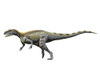 Magnosaurus nethercombensis, Middle Jurassic of England Poster Print - Item # VARPSTNBT600058P