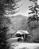 Road leading towards a covered bridge  New Hampshire  USA Poster Print - Item # VARSAL25522245