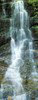 http://c328301.r1.cf1.rackcdn.com/PPI150815S.jpg