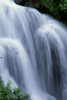 Hawaii, Big Island, One Of Many Waterfalls Along Hamakua Coast, Blur Action B1608 PosterPrint - Item # VARDPI1999010