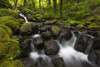 Ruckel Creek; Oregon, United States of America PosterPrint - Item # VARDPI12281499