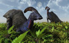 A pair of Parasaurolophus duckbill dinosaurs during Earth's Cretaceous Period Poster Print - Item # VARPSTMAS100530P