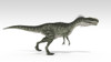 Monolophosaurus dinosaur, white background Poster Print - Item # VARPSTKVA600756P