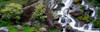 Inchquinn Waterfall, Beara Peninsula, Co Kerry, Ireland PosterPrint - Item # VARDPI1813507