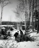 Two boys pulling a Christmas tree on snow Poster Print - Item # VARSAL25528606