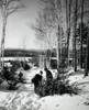 Two boys pulling a Christmas tree on snow Poster Print - Item # VARSAL25528606