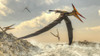 Pteranodon bird flying above ocean Poster Print - Item # VARPSTEDV600270P