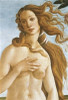 The Birth of Venus  ca.1485  Sandro Botticelli  Tempera on canvas  Galleria degli Uffizi  Florence Poster Print - Item # VARSAL3805449900