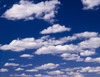 http://c328301.r1.cf1.rackcdn.com/PPI164384S.jpg