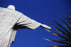 Christ The Redeemer And Palm Leaves PosterPrint - Item # VARDPI1879051