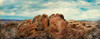 Rock formations in the Valley of Fire State Park, Moapa Valley, Nevada, USA Poster Print - Item # VARPPI169902