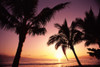 Hawaii, Maui, Ka'anapali, Sunset With Palms Silhouetted, Golden Reflections On Ocean, Purple PosterPrint - Item # VARDPI2002952