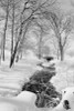 USA  Pennsylvania  brook in winter Poster Print - Item # VARSAL255423466