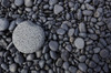 Close-up of smooth rocks on a beach; Iceland PosterPrint - Item # VARDPI2324012