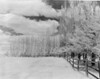 USA  Vermont  Snow covered field Poster Print - Item # VARSAL255424174
