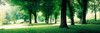 http://c328301.r1.cf1.rackcdn.com/PPI43785L.jpg