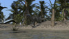 Suchomimus running along the shoreline Poster Print