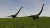 Two Mamenchisaurus walking across a grassy field Poster Print - Item # VARPSTKVA600615P