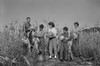 Family with two boys and girl harvesting pumpkins Poster Print - Item # VARSAL255422996