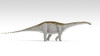 Apatosaurus dinosaur, white background Poster Print - Item # VARPSTKVA600710P