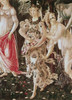 La Primavera Ca. 1481 Sandro Botticelli Tempera On Wood Galleria degli Uffizi  Florence  Italy Poster Print - Item # VARSAL3804407240