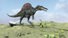 Spinosaurus walking across a desert landscape Poster Print