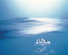 Water bubbles rising to surface of water toward bright light Poster Print by Panoramic Images (24 x 20) - Item # PPI117984