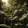 Aged boulders covered with moss in a misty forest at sunset, Ritsa Nature Reserve, Abkhazia, Georgia Poster Print - Item # VARPSTEVK200185S