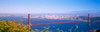 http://c328301.r1.cf1.rackcdn.com/PPI28342LARGE.jpg