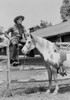 USA  Cowboy sitting on fence Poster Print - Item # VARSAL255419891