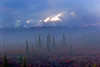 View Of Mt. Mckinley In The Early Morning Fog From The Wonder Lake Campground In Denali National Park & Preserve, Interior Alaska, Fall PosterPrint - Item # VARDPI2169055