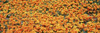 http://c328301.r1.cf1.rackcdn.com/PPI98389L.jpg