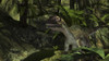 Utahraptor in a prehistoric forest Poster Print - Item # VARPSTKVA600459P