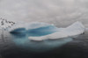 Iceberg swimming pool, Antarctica Poster Print - Item # VARPSTMME400086U