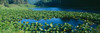 http://c328301.r1.cf1.rackcdn.com/PPI160459L.jpg