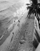 High angle view of a group of people jogging on the beach  Waikiki Beach  Honolulu  Oahu  Hawaii  USA Poster Print - Item # VARSAL25516940
