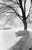 Winter landscape Poster Print - Item # VARSAL255416577